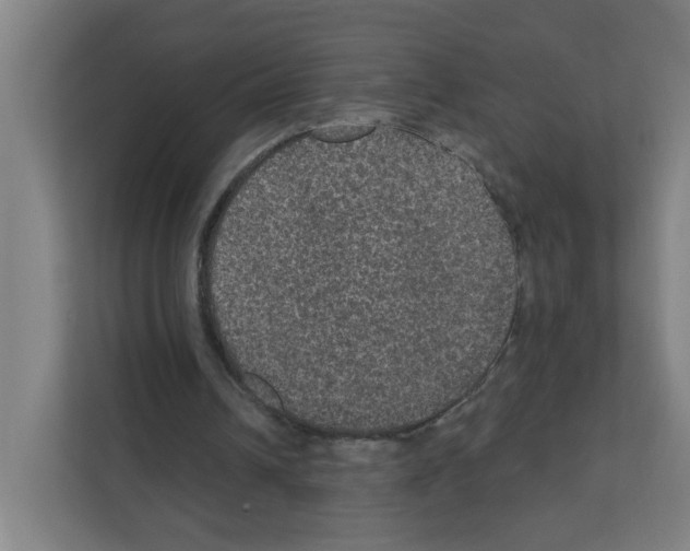 X0000111160242200908111159