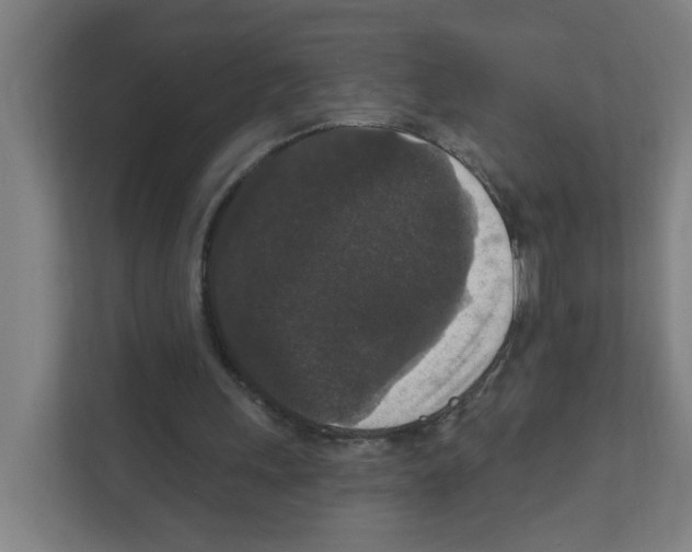 X0000111160243200908111159