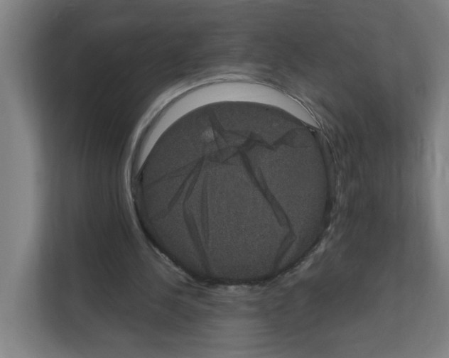 X0000111160244200908111159