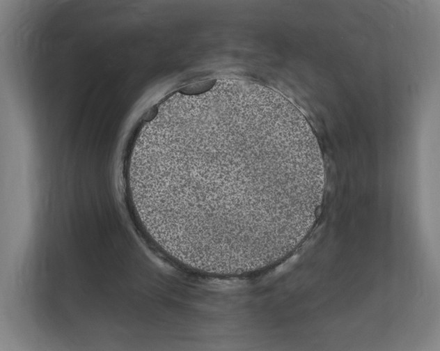 X0000111160245200908111159