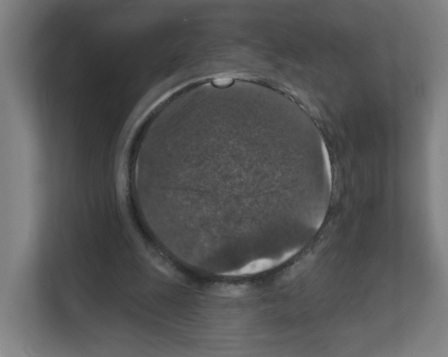 X0000111160247200908111159