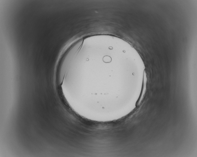 X0000111160248200908111159