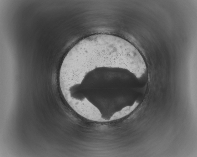 X0000111160249200908111159