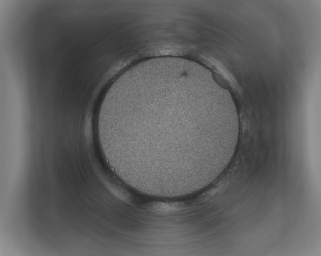 X0000111160250200908111159