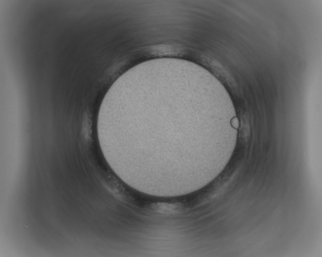 X0000111160255200908111159