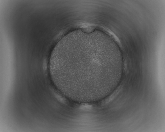 X0000111160257200908111159