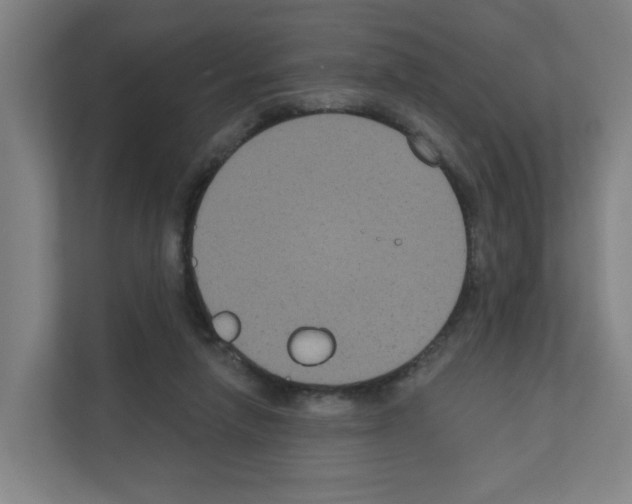 X0000111160258200908111159