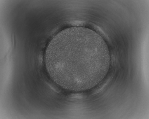 X0000111160259200908111200