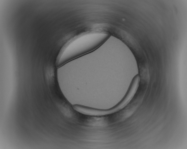 X0000111160260200908111200