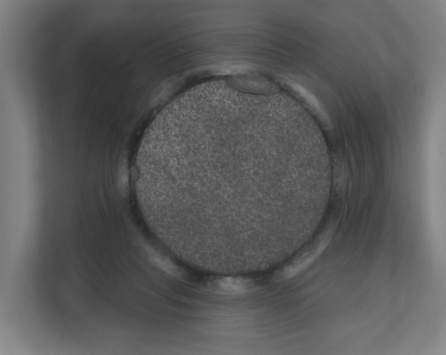 X0000111160261200908111200