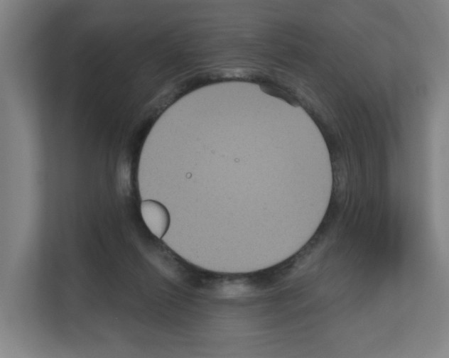 X0000111160262200908111200