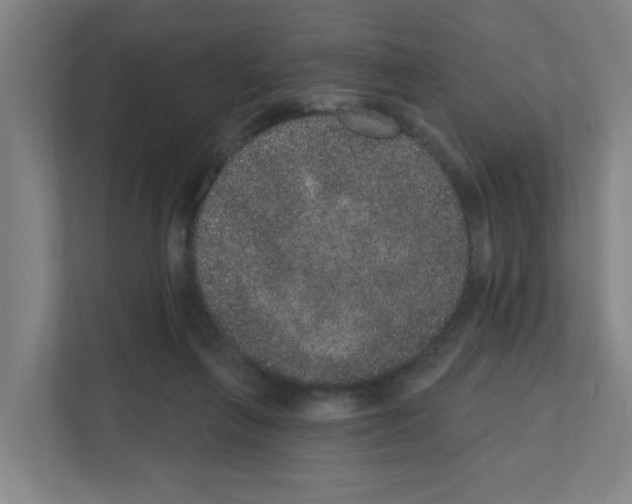X0000111160263200908111200
