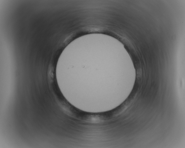 X0000111160264200908111200