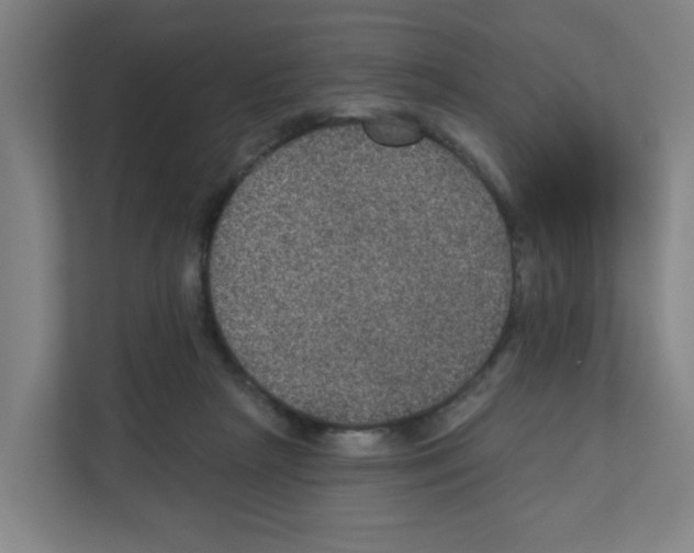 X0000111160265200908111200
