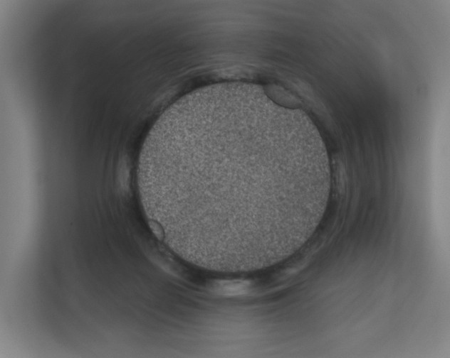 X0000111160266200908111200
