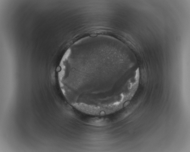 X0000111160267200908111200