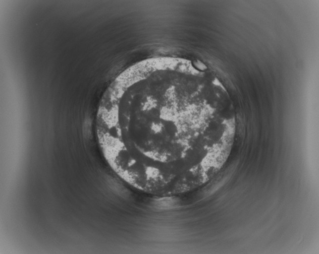X0000111160269200908111200