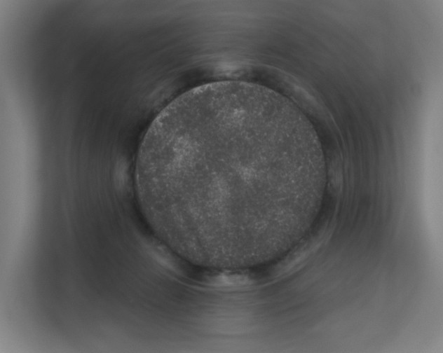 X0000111160270200908111200