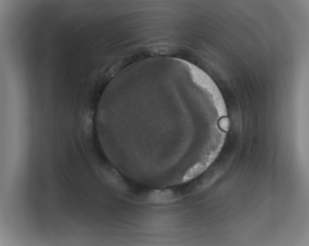 X0000111160271200908111200