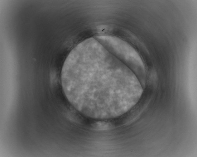 X0000111160272200908111200