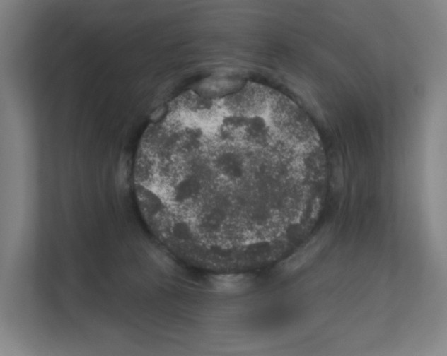 X0000111160273200908111200