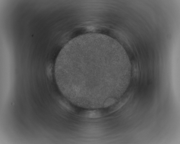 X0000111160275200908111200