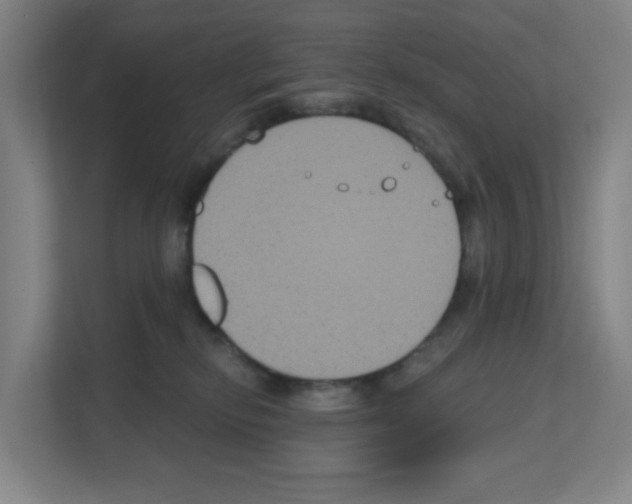 X0000111160278200908111200