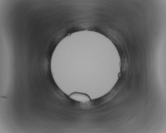 X0000111160279200908111200