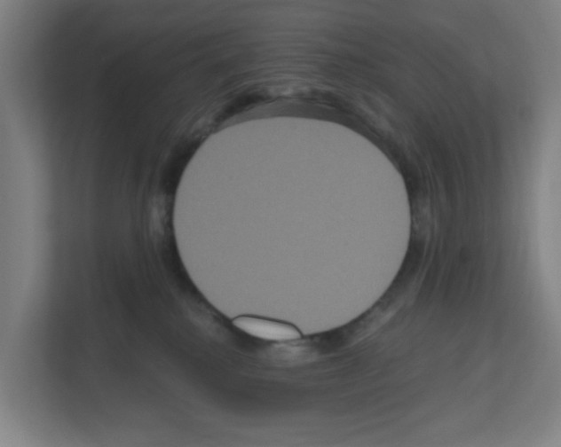 X0000111160280200908111200
