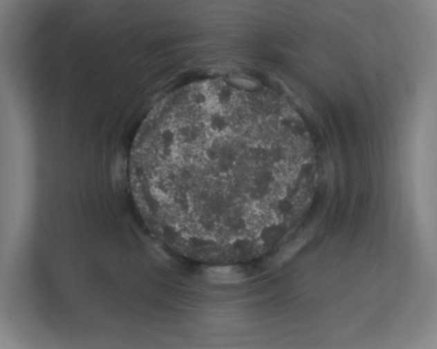 X0000111160281200908111200