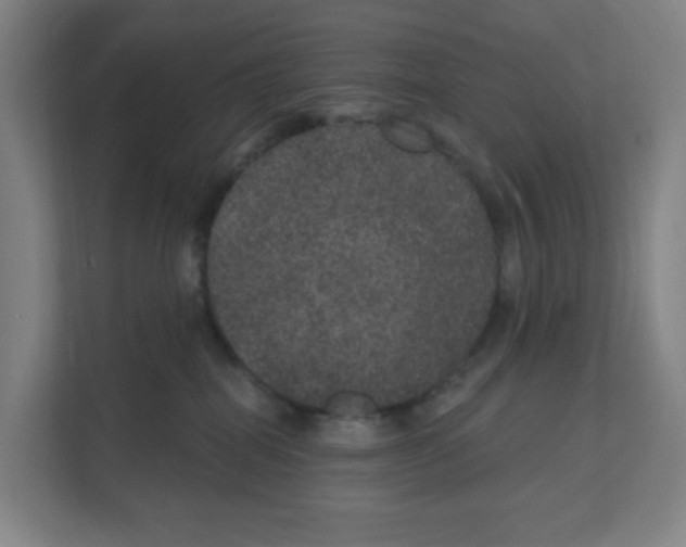 X0000111160282200908111200