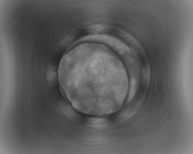 X0000111160284200908111200