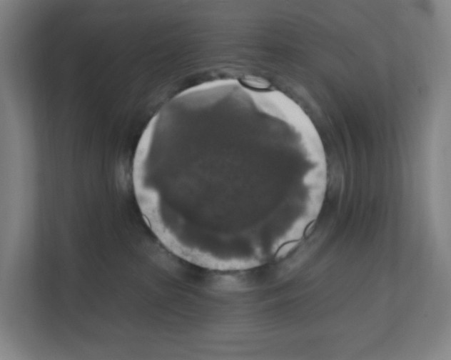 X0000111160285200908111200