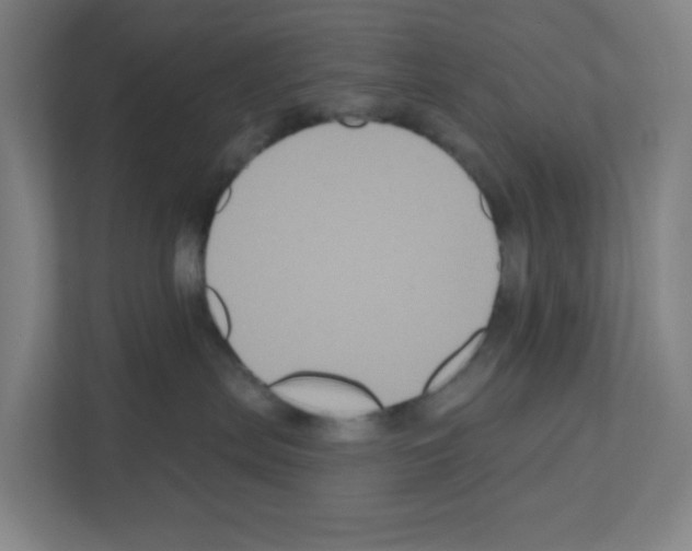 X0000111160287200908111200