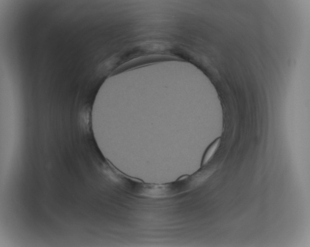 X0000111160288200908111200