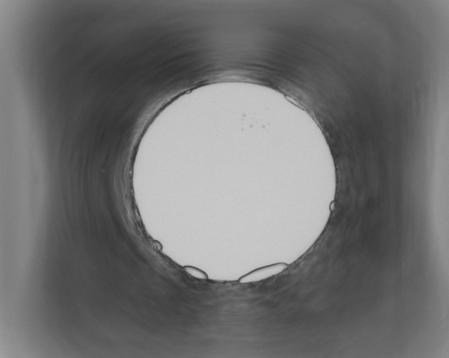 X0000111160289200908111159