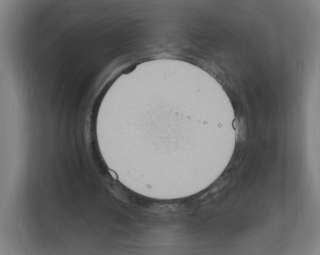 X0000111160291200908111159