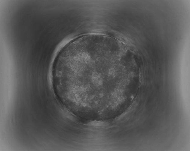 X0000111160294200908111159