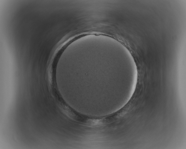 X0000111160295200908111159