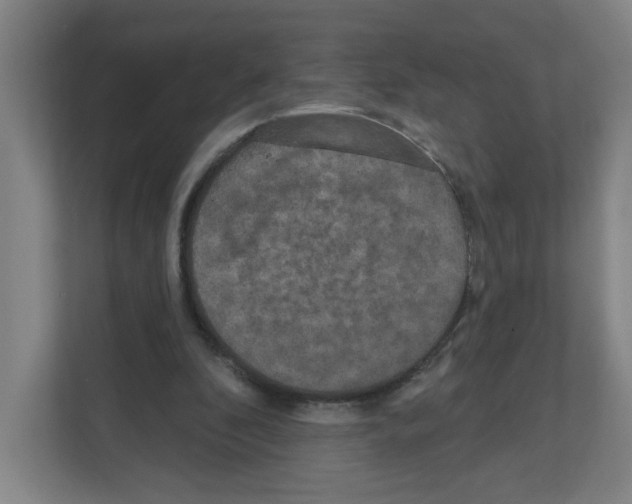 X0000111160296200908111159