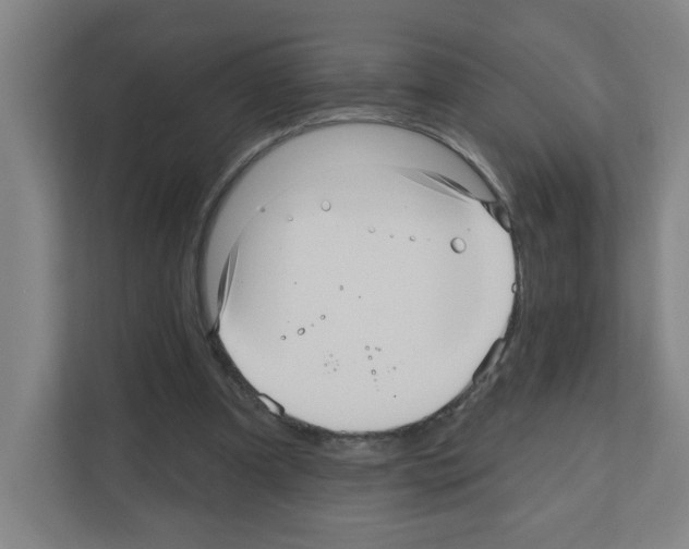 X0000111160297200908111159