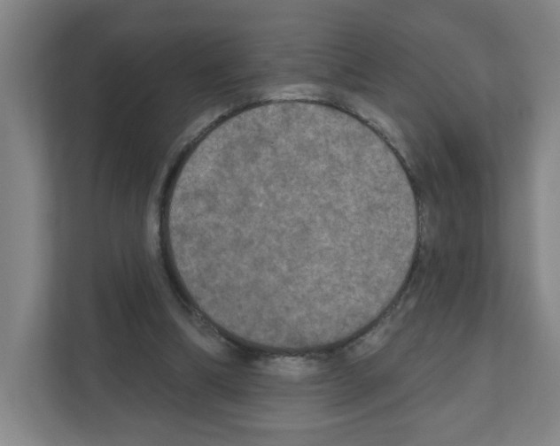 X0000111160298200908111159