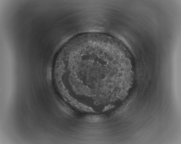 X0000111160299200908111159