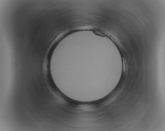 X0000111160300200908111159
