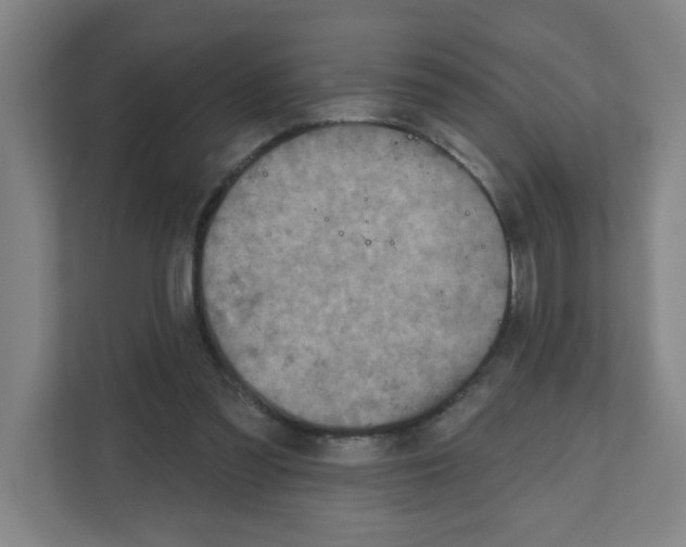 X0000111160301200908111159