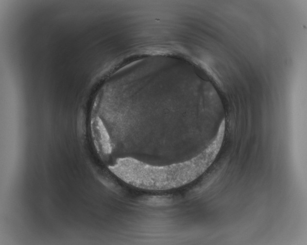 X0000111160303200908111159