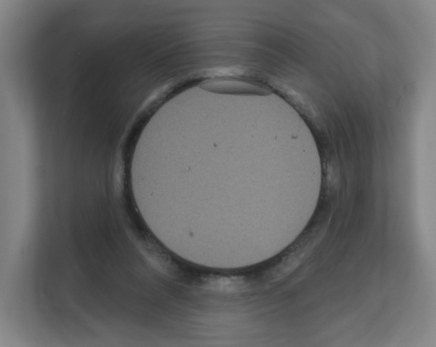 X0000111160304200908111159