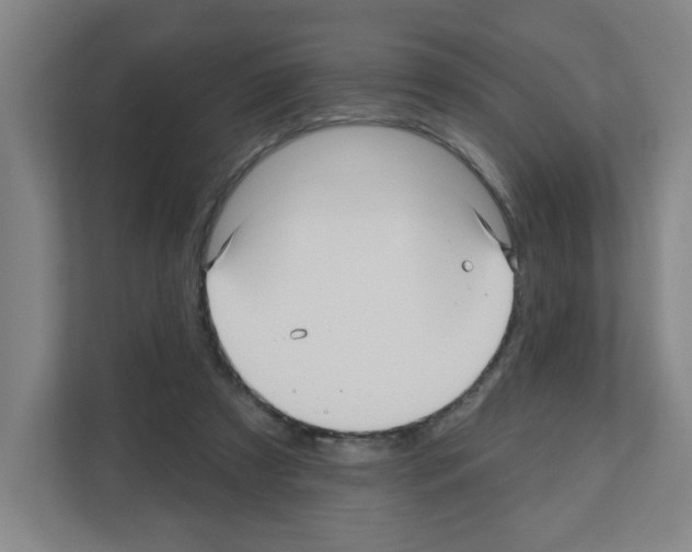 X0000111160305200908111159
