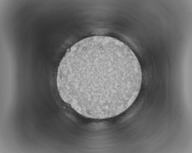 X0000111160307200908111159