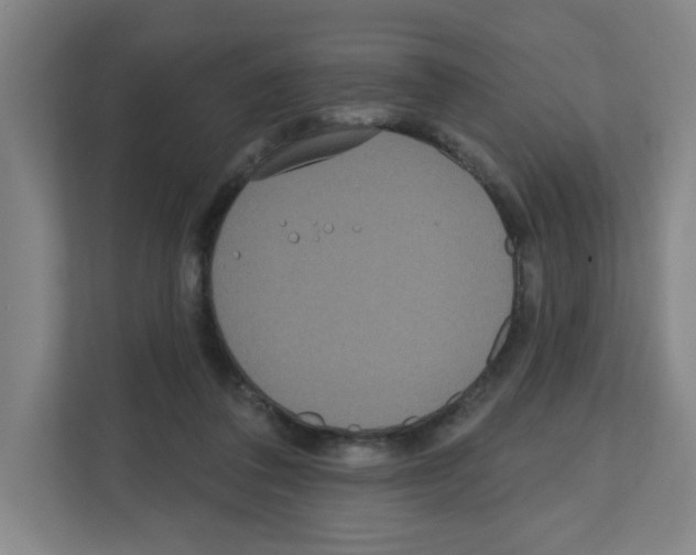 X0000111160308200908111159